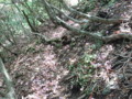 20140524201412