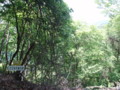 20140524201413