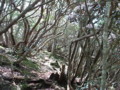 20140524201415