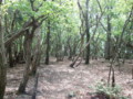 20140524201417