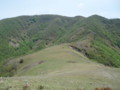 20140524201421