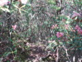 20140524201432