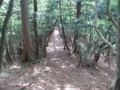 20140524201439