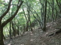 20140524201443