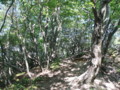 20140601194225