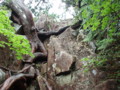 20140609203555