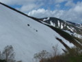 20140614212508