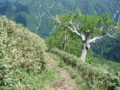 20140614212514