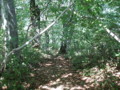 20140614212515