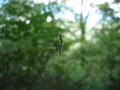 20140614212516