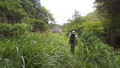 20140703124958