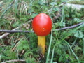 20140914092436