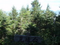 20140914092441