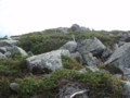 20140914092443