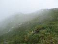 20140914092448