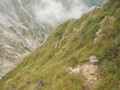 20140914092451
