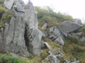 20140914092455