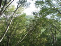 20140915160353
