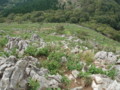 20140915160423