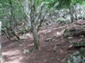 20140915160424