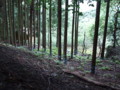 20140915160426