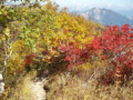 20140928115401