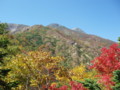 20140928121840