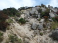 20141004192029