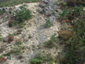 20141004192033
