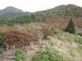 20141004192038