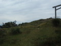 20141004192049