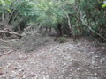 20141004192050