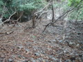 20141004192054