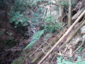 20141004192055
