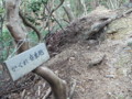 20141025200005