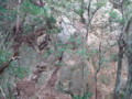 20141025200006