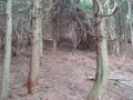 20141025200016