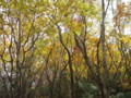 20141025200020