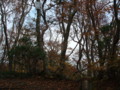 20141025200025