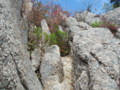 20141025200031