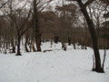 20141221155504 20141221155504