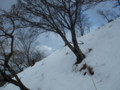20141221155506 20141221155506