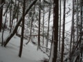 20150102191225