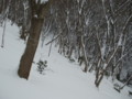 20150102191228