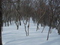 20150102191233