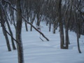 20150102191234