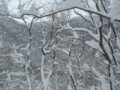 20150102191238