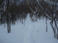 20150102191239