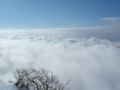 20150124161603 20150124161603
