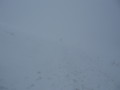 20150207181539